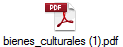 bienes_culturales (1).pdf